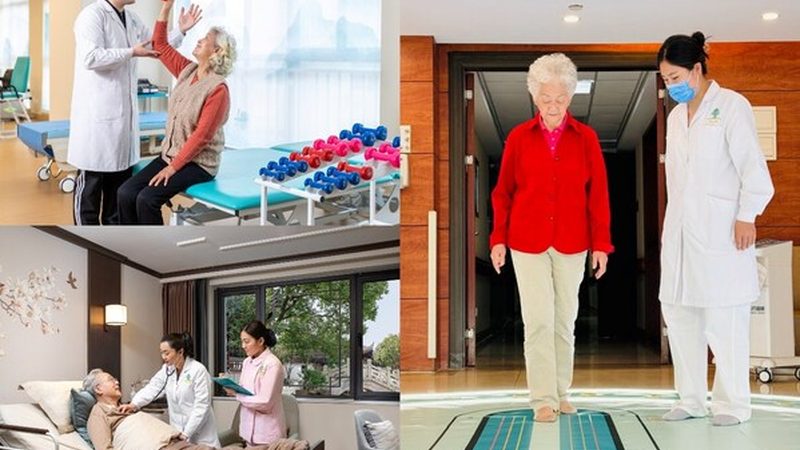 护工中介服务：揭秘其核心内容与重要作用